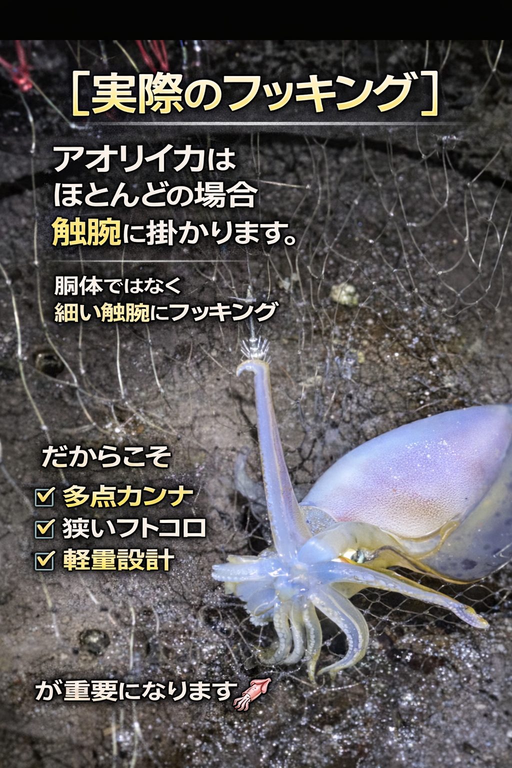 アオリイカのフッキング実例 - 触腕に掛かった瞬間