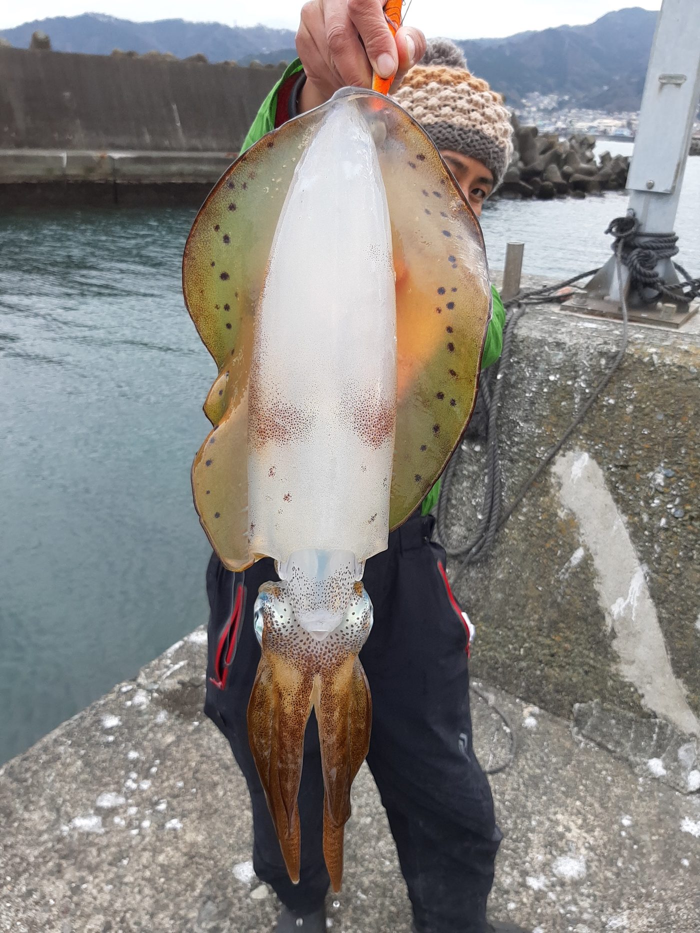 釣果